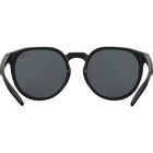 MERIT, Black Shiny-TNS, hi-res image number null